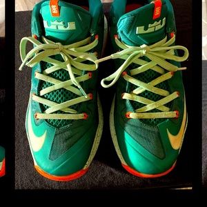 LeBron low Biscayne